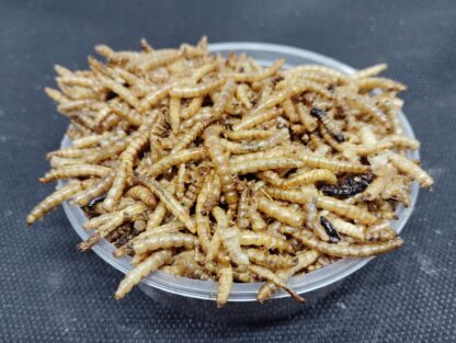 Mehlwürmer getrocknet 500gr