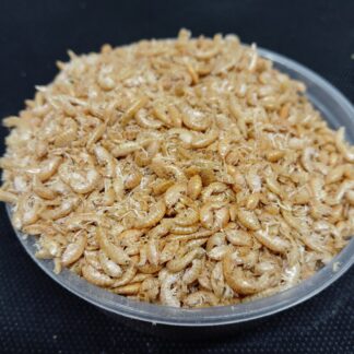 Gammarus ( Bachflohkrebse ) 100gr