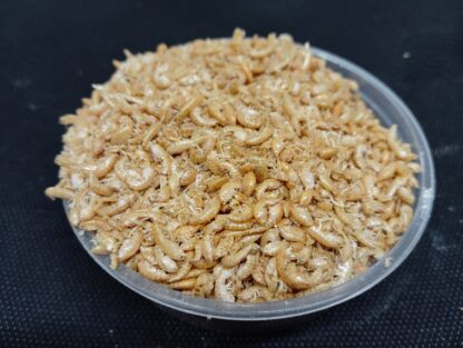 Gammarus ( Bachflohkrebse ) 100gr