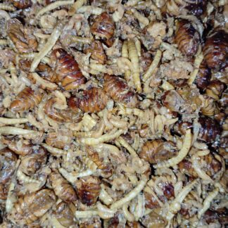 NATURAL INSECTS gekocht (ready to use) 500gr